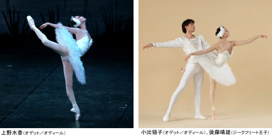 11-01.25SwanLake02.jpg