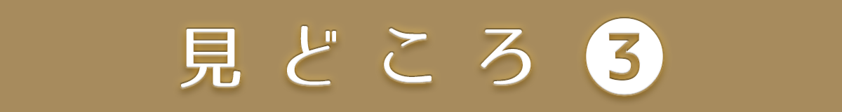 見どころ3