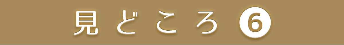 見どころ6