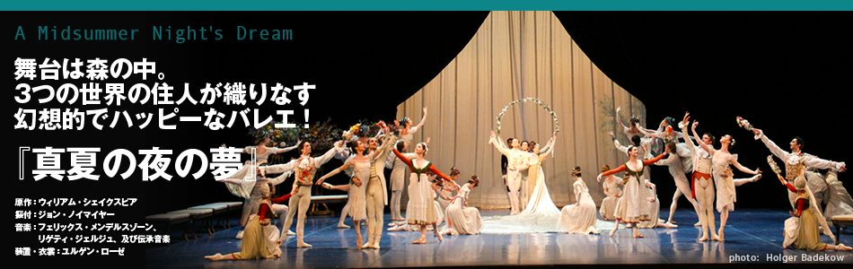 希少】演劇 舞台 影絵 伝統工芸 バティック