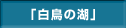 白鳥の湖