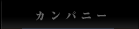 カンパニー