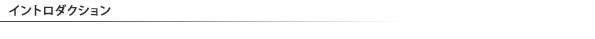 イントロダクション