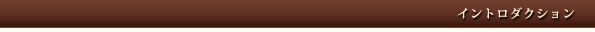 イントロダクション
